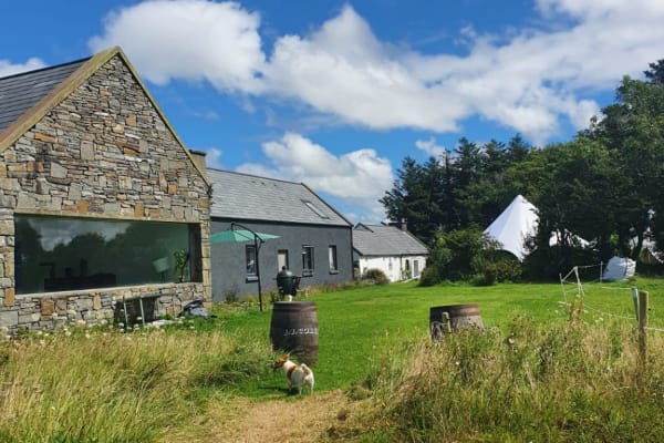 House sit in Cooraclare, Ireland