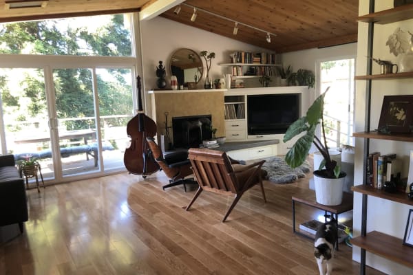 House sit in Mill Valley, CA, US