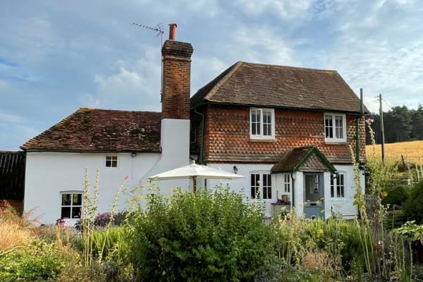 House sit in Albury, United Kingdom