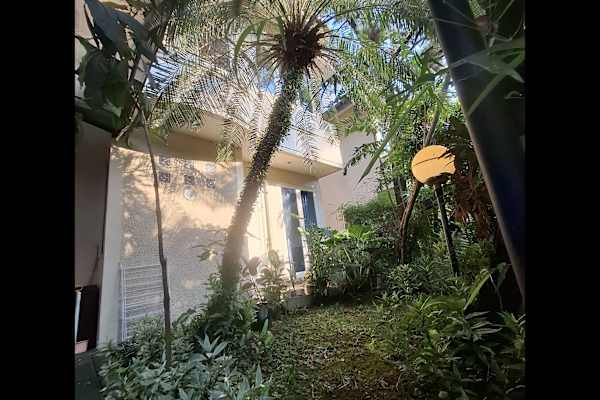 House sit in Jakarta, Indonesia