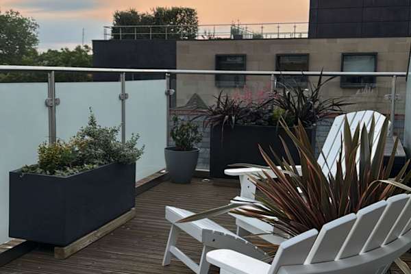 House sit in London, United Kingdom