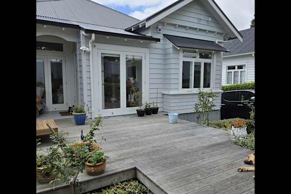 House sit in Auckland, New Zealand