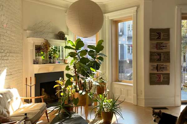 House sit in Brooklyn, NY, US