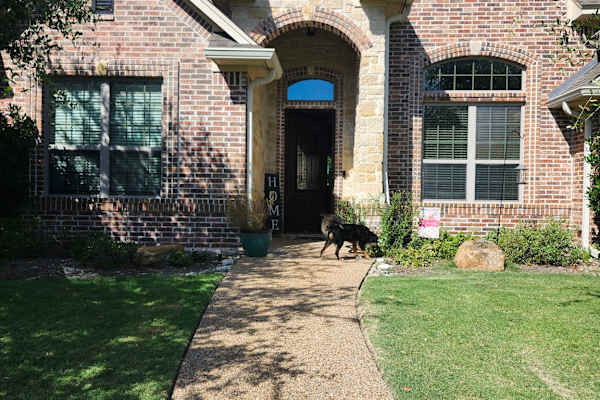 House sit in Waco, TX, US