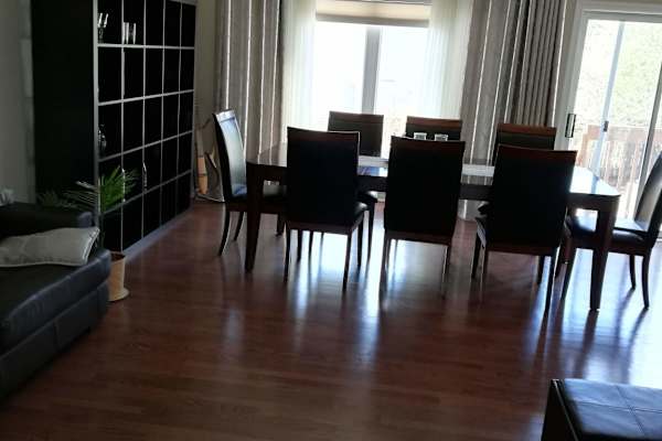 House sit in Toronto, ON, Canada