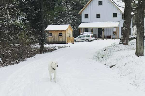 House sit in Charlotte, VT, US