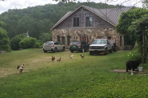 House sit in Lead Hill, AR, US