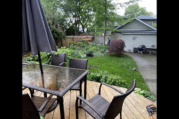 House sit in Toronto, ON, Canada