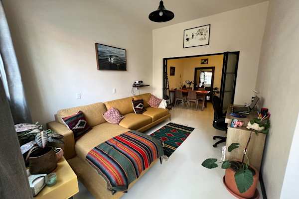 House sit in Mexico City, Mexico