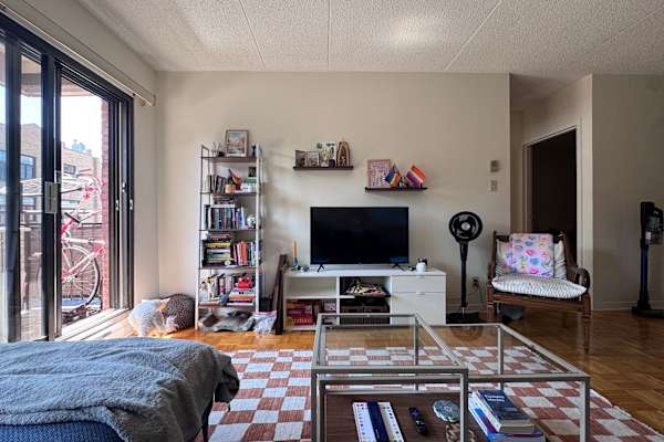 House sit in Montréal, QC, Canada