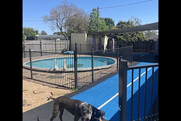 House sit in Toowoomba, QLD, Australia
