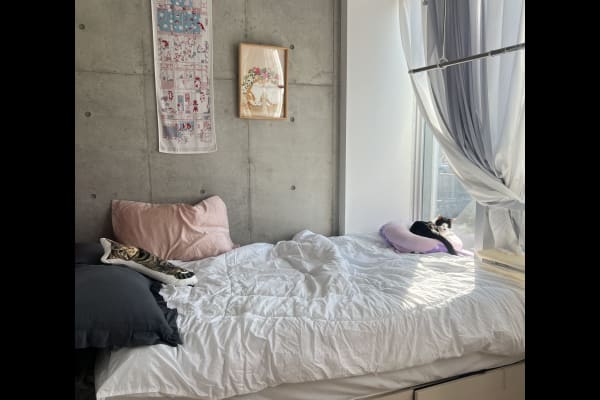 House sit in Shinagawa, Japan