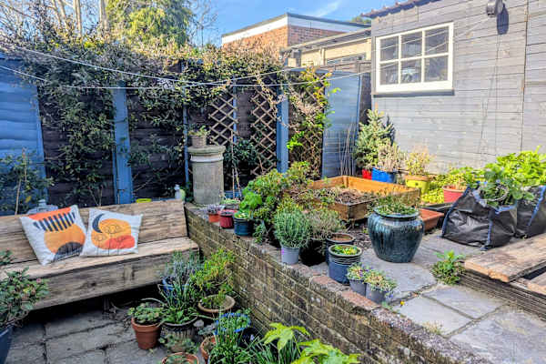 House sit in Eastbourne, United Kingdom