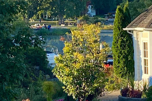 House sit in Victoria Harbour, ON, Canada