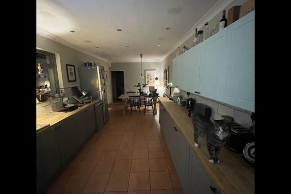 House sit in Cardiff, United Kingdom