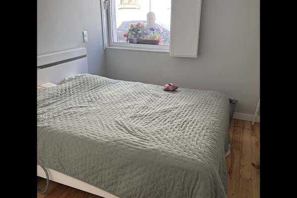 House sit in Espinho, Portugal