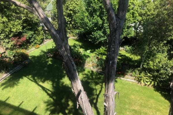 House sit in Nelson, New Zealand