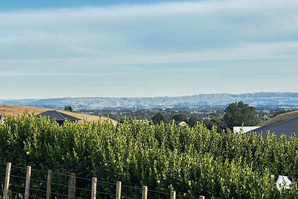 House sit in Feilding, New Zealand