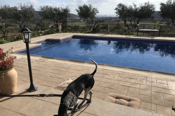 House sit in Pyrgos, Cyprus