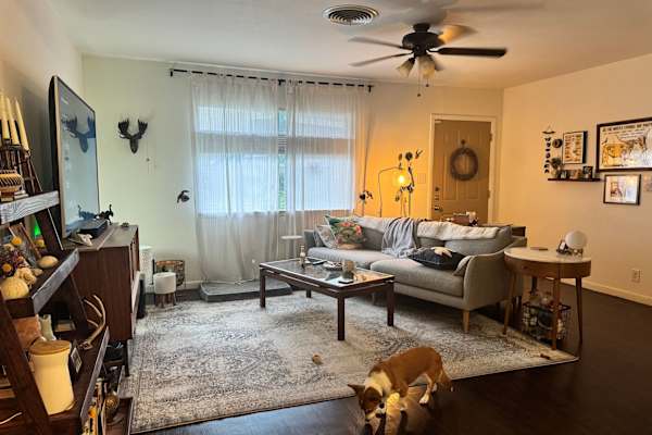 House sit in Austin, TX, US