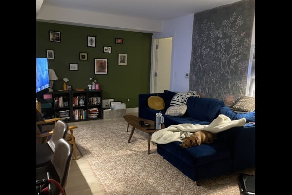 House sit in Brooklyn, NY, US