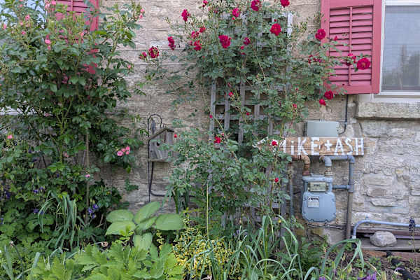 House sit in Waterdown, ON, Canada