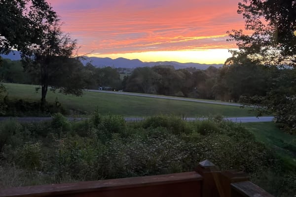 House sit in Asheville, NC, US