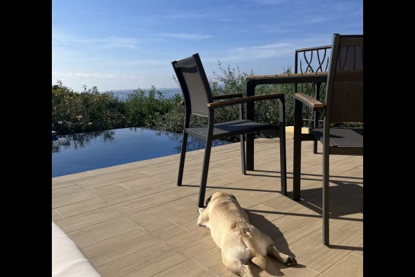 House sit in Sainte-Maxime, France