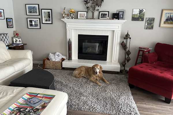 House sit in Kelowna, BC, Canada