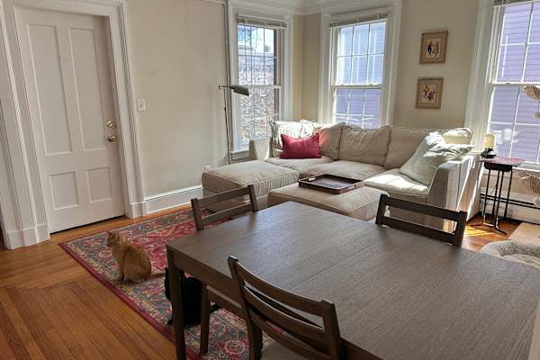 House sit in New Haven, CT, US