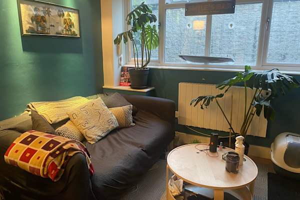 House sit in London, United Kingdom