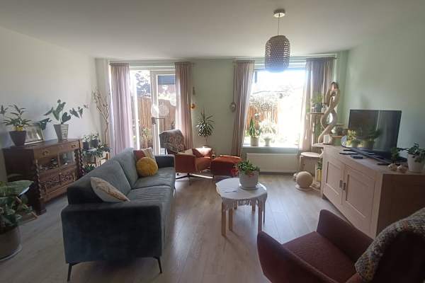 House sit in Lelystad, Netherlands