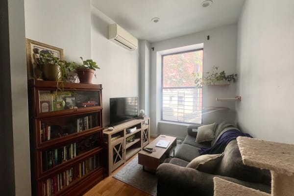 House sit in New York City, NY, US