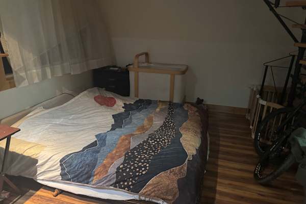 House sit in Silverthorne, CO, US