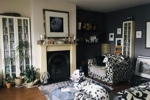 House sit in Buncrana, Ireland