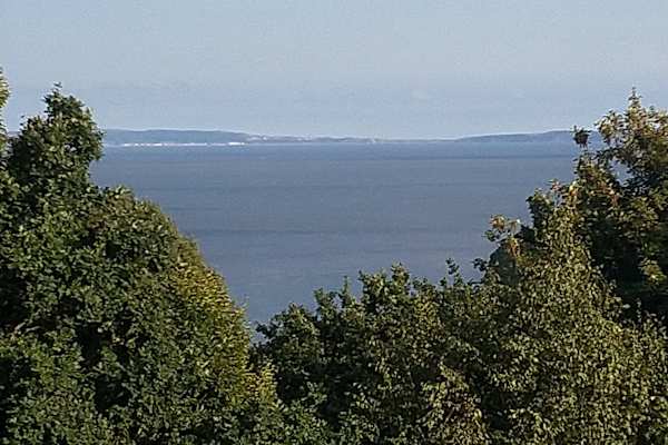 House sit in Penarth, United Kingdom