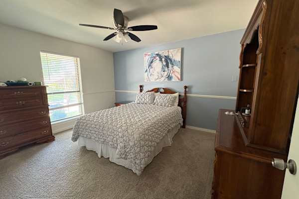 House sit in Dallas, TX, US