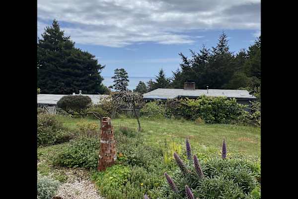 House sit in Anchor Bay, CA, US