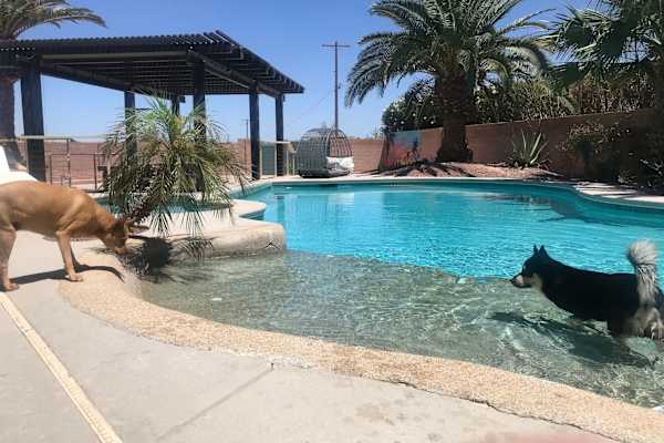 House sit in Las Vegas, NV, US