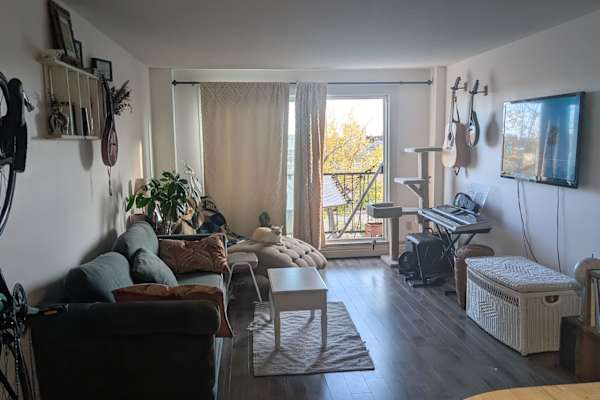 House sit in Calgary, AB, Canada