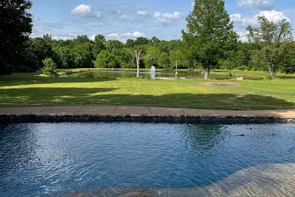 House sit in Memphis, TN, US