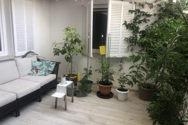 House sit in Palma, Spain