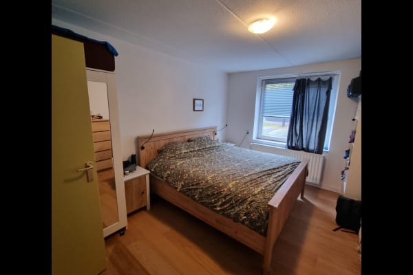 House sit in Amsterdam, Netherlands