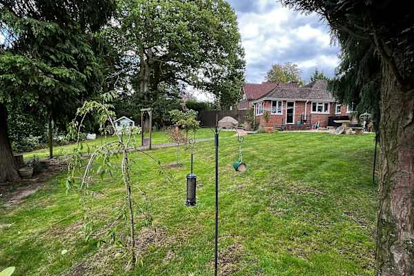 House sit in Hindhead, United Kingdom