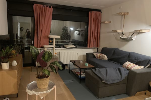 House sit in Copenhagen, Denmark