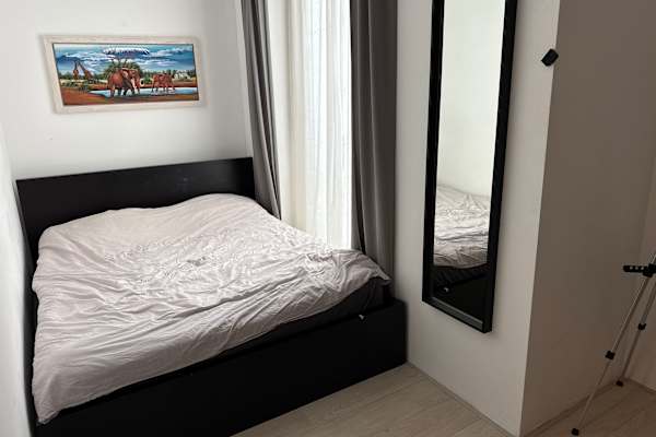 House sit in Amsterdam, Netherlands