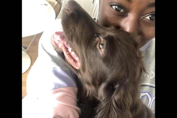 House sit in Walthamstow, United Kingdom