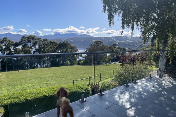 House sit in Castle Forbes Bay, TAS, Australia