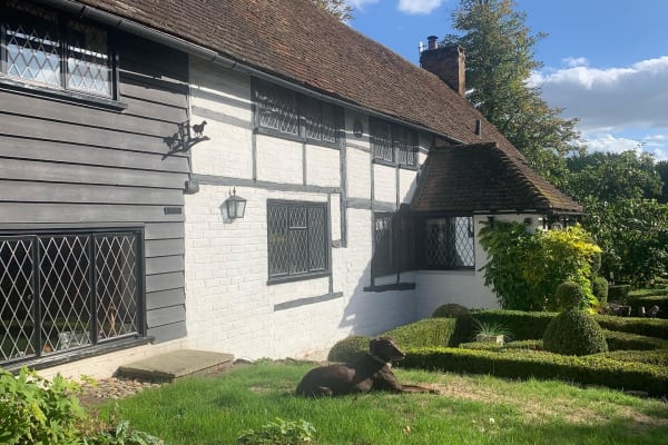 House sit in Guildford, United Kingdom