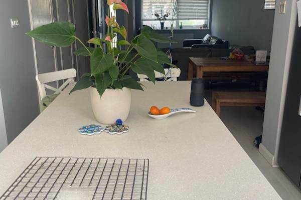 House sit in Twickenham, United Kingdom